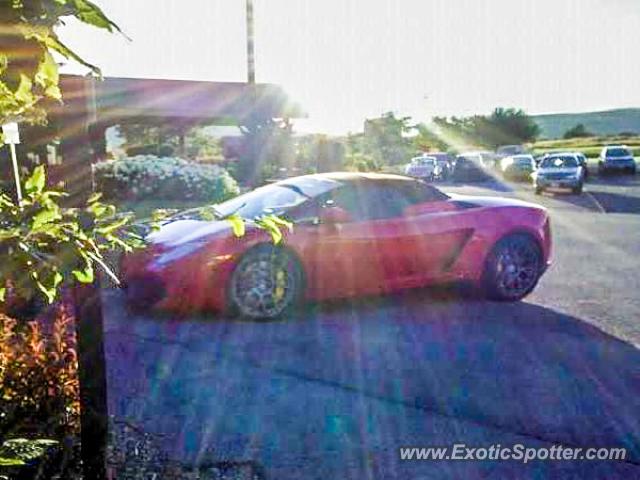 Lamborghini Gallardo spotted in Canandaiga, New York
