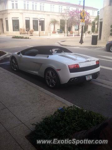 Lamborghini Gallardo spotted in Palm Beach, Florida