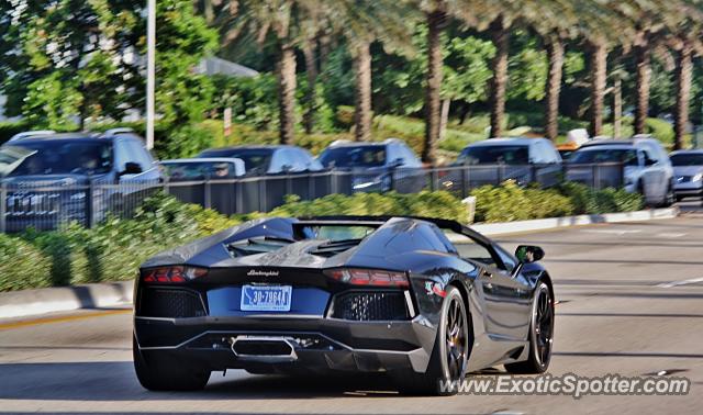 Lamborghini Aventador spotted in Miami, Florida