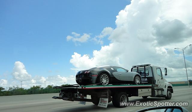 Bugatti Veyron spotted in Fort Lauderdale, Florida