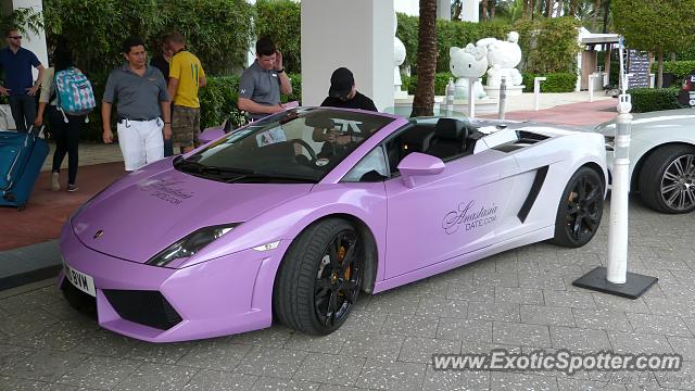 Lamborghini Gallardo spotted in Miami, Florida