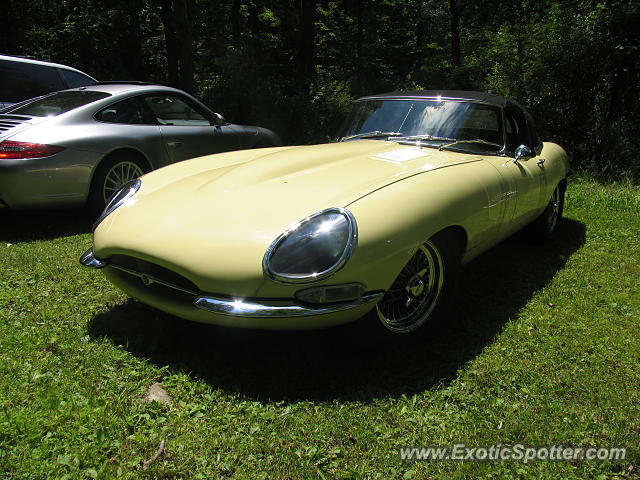 Jaguar E-Type spotted in Hellertown, Pennsylvania