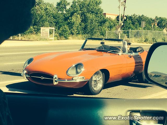Jaguar E-Type spotted in Golden, Colorado
