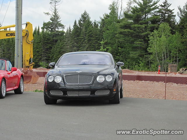 Bentley Continental spotted in Fredericton, NB, Canada