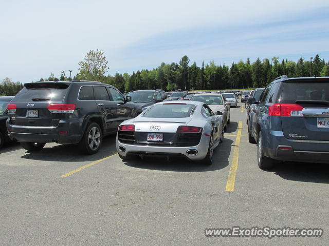 Audi R8 spotted in Fredericton, NB, Canada