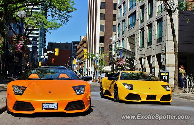 Lamborghini Murcielago spotted in Toronto, Canada