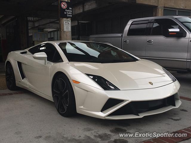 Lamborghini Gallardo spotted in Atlanta, Georgia
