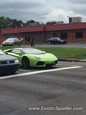 Lamborghini Aventador spotted in Bearden, Tennessee