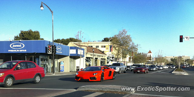 Lamborghini Aventador spotted in Palo Alto, California