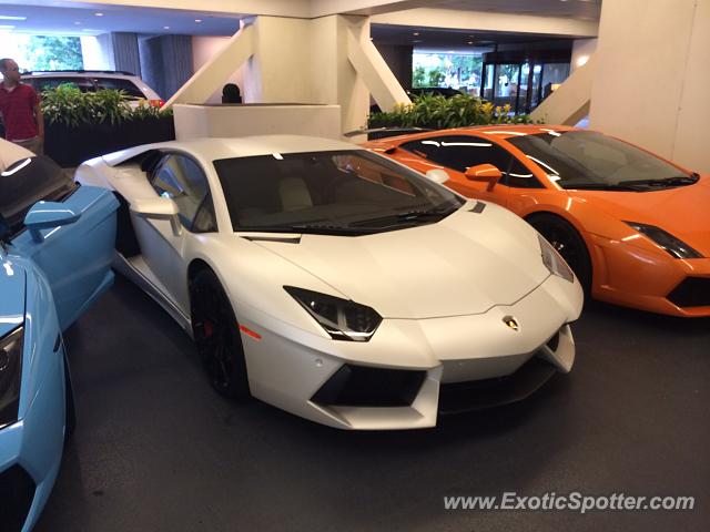 Lamborghini Aventador spotted in Atlanta, Georgia