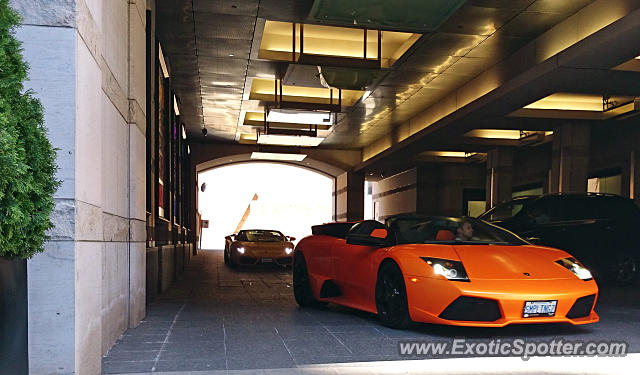 Lamborghini Murcielago spotted in Toronto, Ontario, Canada