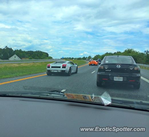 Lamborghini Gallardo spotted in Georgetown, Delaware