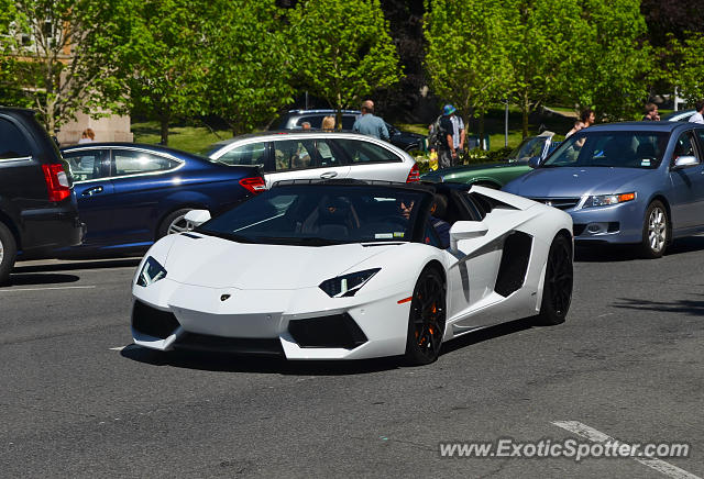 Lamborghini Aventador spotted in Greenwich, Connecticut