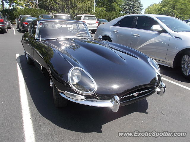 Jaguar E-Type spotted in Cincinnati, Ohio