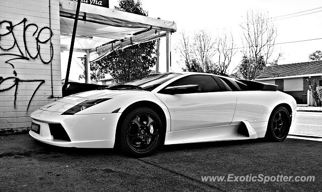 Lamborghini Murcielago spotted in Sydney, Australia