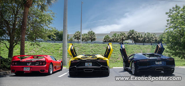 Ferrari F50 spotted in Boca Raton, Florida