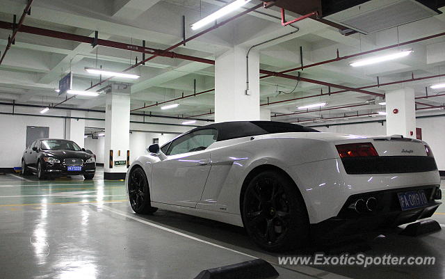 Lamborghini Gallardo spotted in Shanghai, China