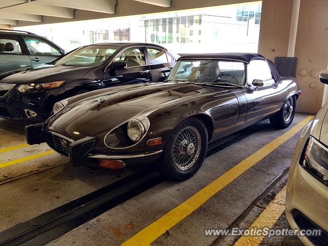 Jaguar E-Type spotted in Tyson's Corner, Virginia