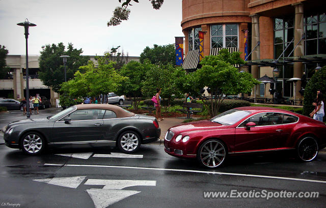 Bentley Continental spotted in Charlotte, North Carolina