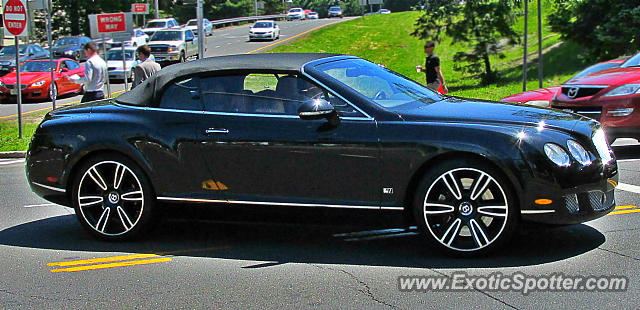 Bentley Continental spotted in Greenwich, Connecticut