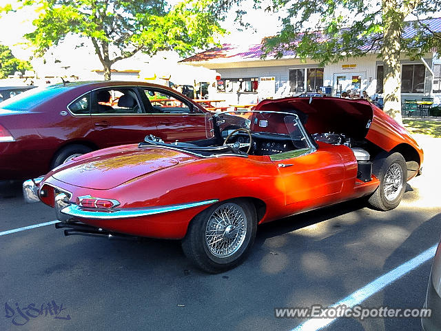 Jaguar E-Type spotted in Sodus Point, New York