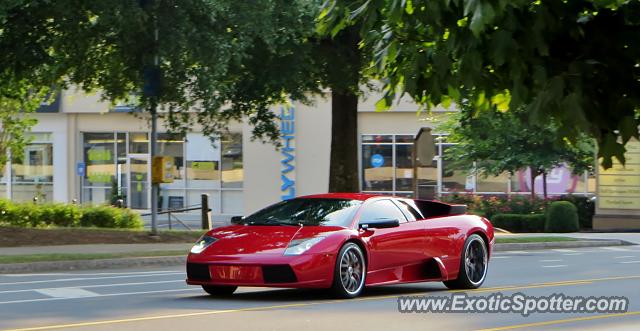 Lamborghini Murcielago spotted in Atlanta, Georgia
