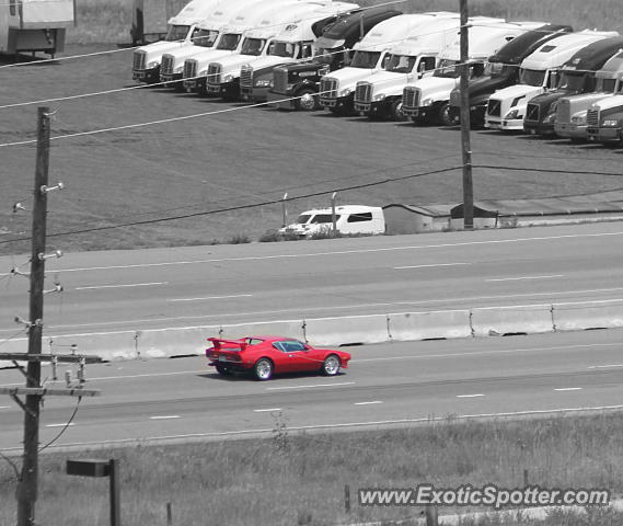 DeTomaso Pantera2 spotted in Littleton, Colorado