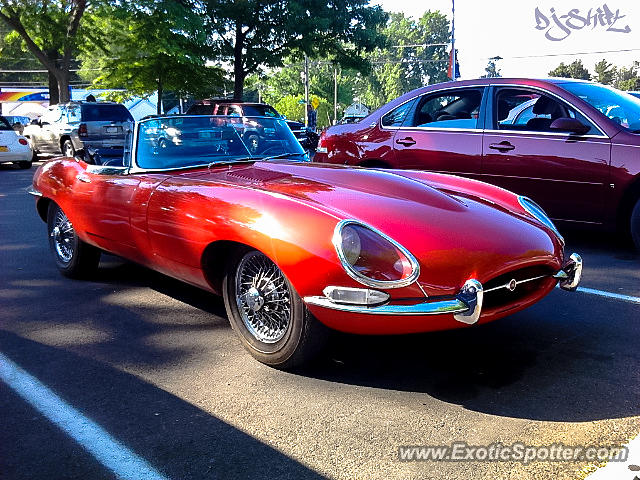Jaguar E-Type spotted in Sodus Point, New York