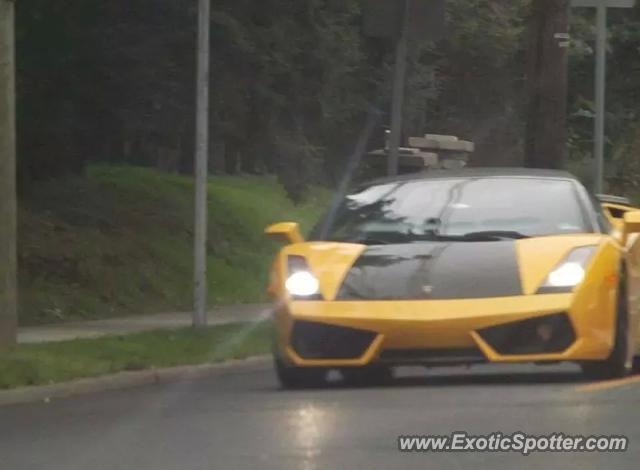 Lamborghini Gallardo spotted in Princeton, New Jersey