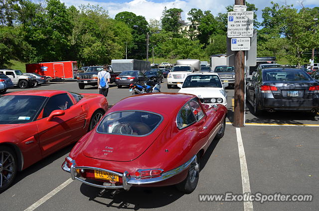 Jaguar E-Type spotted in Greenwich, Connecticut