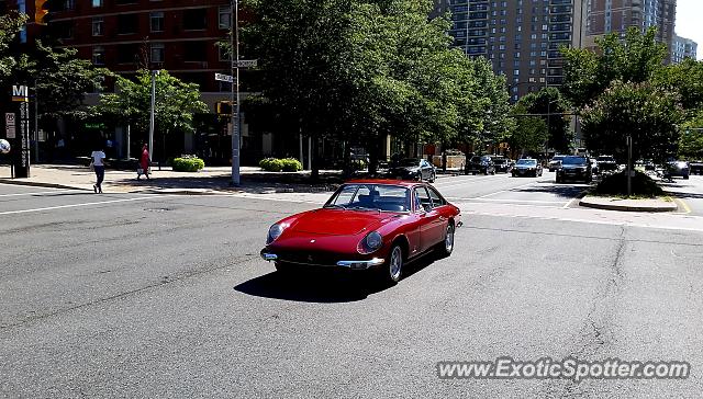 Ferrari 365 GT spotted in Arlington, Virginia