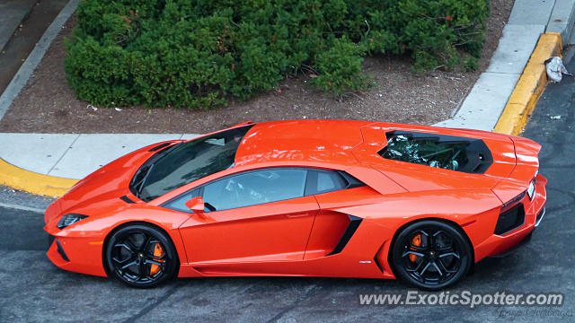 Lamborghini Aventador spotted in Annapolis, Maryland