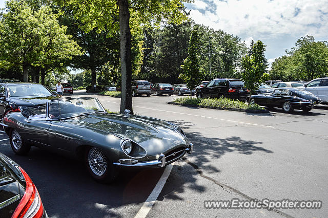 Jaguar E-Type spotted in Cincinnati, Ohio