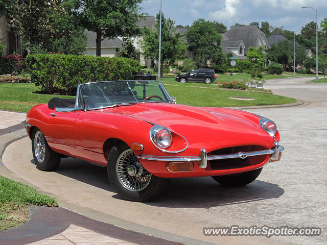Jaguar E-Type spotted in Houston, Texas