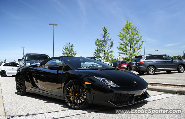 Lamborghini Gallardo spotted in Cincinnati, Ohio