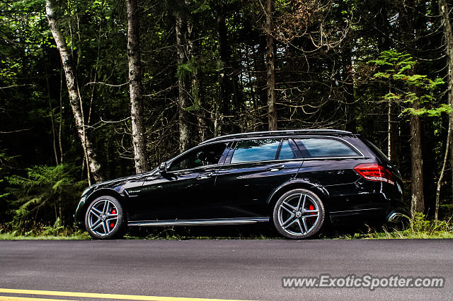 Other Other spotted in Acadia Park, Maine