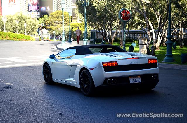 Lamborghini Gallardo spotted in Las Vegas, Nevada