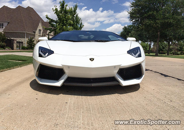 Lamborghini Aventador spotted in Dallas, Texas