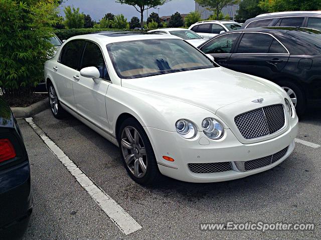 Bentley Continental spotted in Orlando, Florida