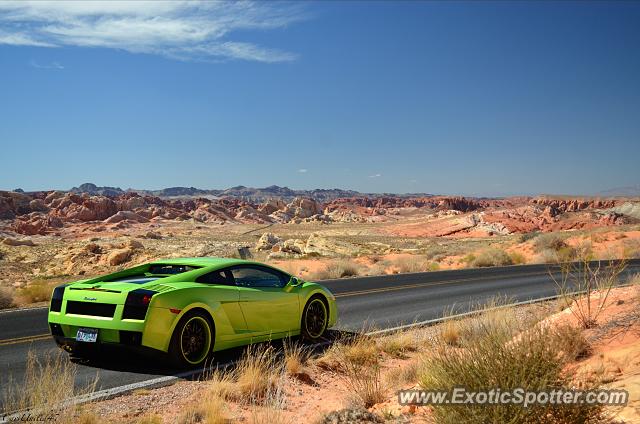 Lamborghini Gallardo spotted in Las Vegas, Nevada