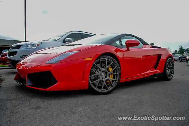 Lamborghini Gallardo spotted in Canandaigua, New York