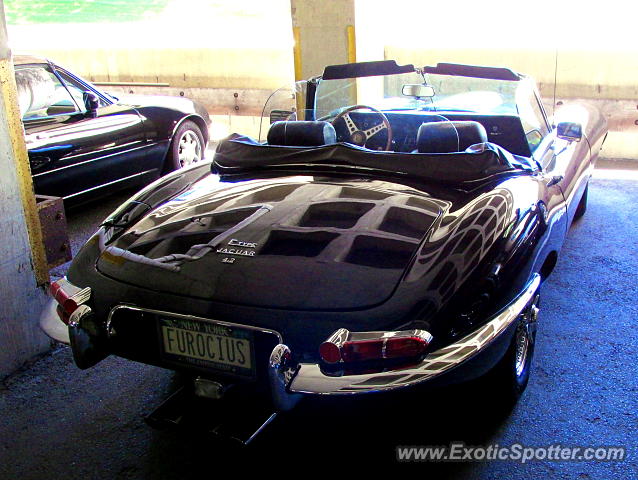 Jaguar E-Type spotted in Greenwich, Connecticut