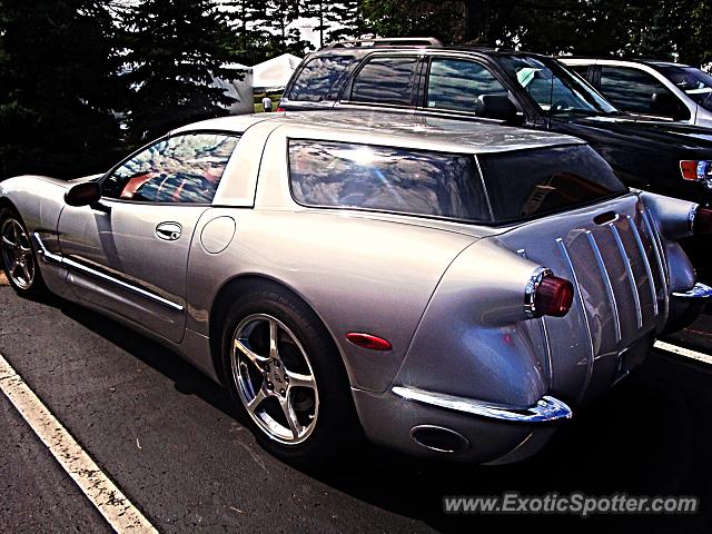 Other Kit Car spotted in Plymouth, Michigan