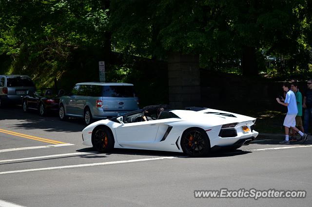 Lamborghini Aventador spotted in Greenwich, Connecticut