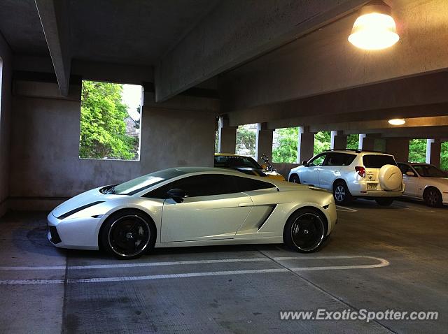 Lamborghini Gallardo spotted in Summit, New Jersey