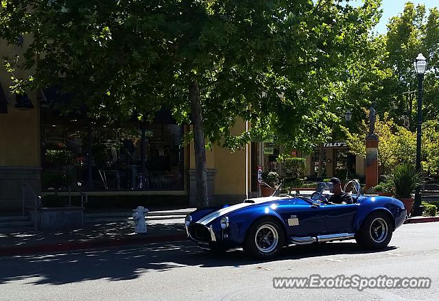 Shelby Cobra spotted in Walnut creek, California