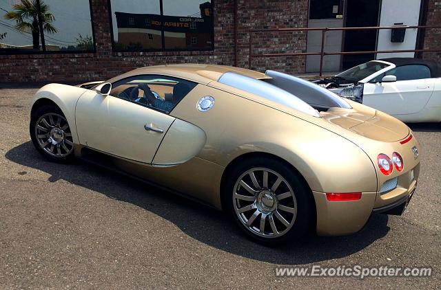 Bugatti Veyron spotted in Bellevue, Washington