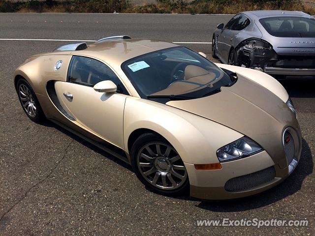 Bugatti Veyron spotted in Bellevue, Washington