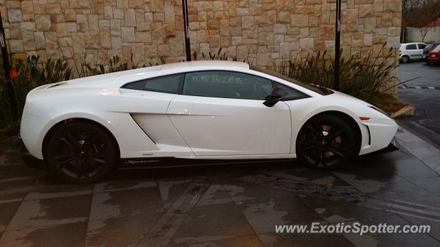 Lamborghini Gallardo spotted in Randburg, South Africa