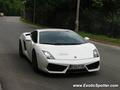 Lamborghini Gallardo